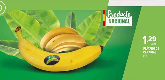 Platano De Canarias