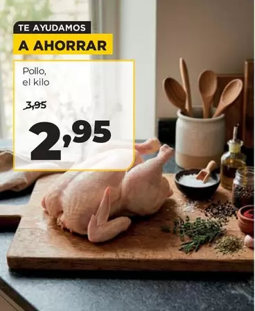 Pollo