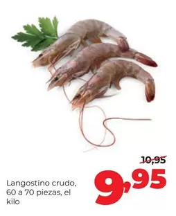 Langostino Crudo