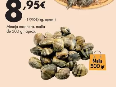Almeja Marinera