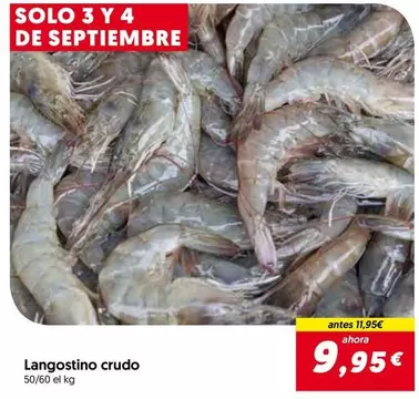 Solo - Langostino Crudo