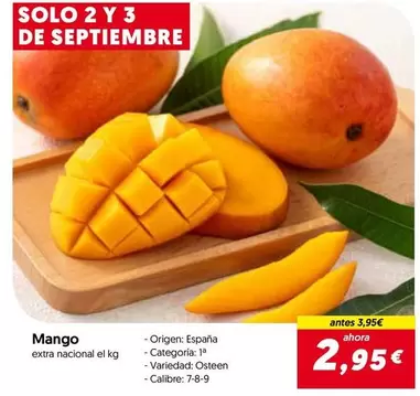 mango - Mango