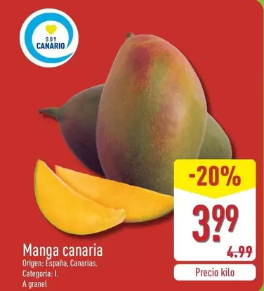 Manga Canaria