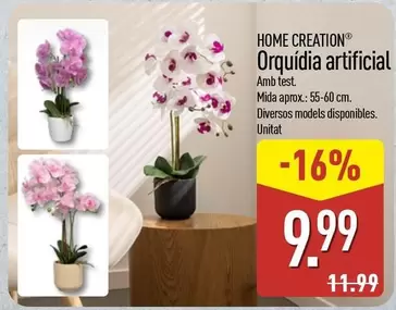 Home Creation - Orquídia Artificial