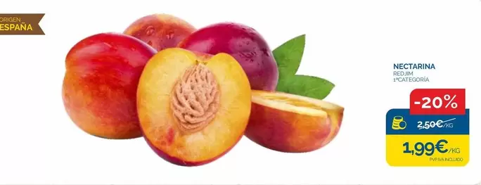 origen - Nectarina