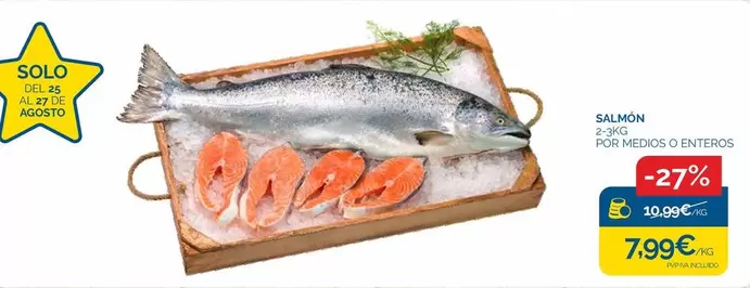 Solo - Salmon