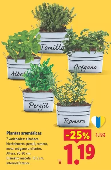 Plantas Aromaticas