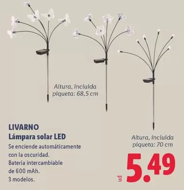 Livarno - Lampara Solar LED