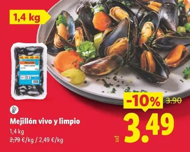 Mejillón Vivo Y Limpio 