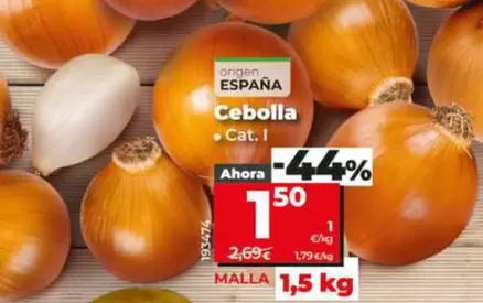 Cebolla