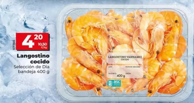 Seleccion De Dia - Langostino Cocido