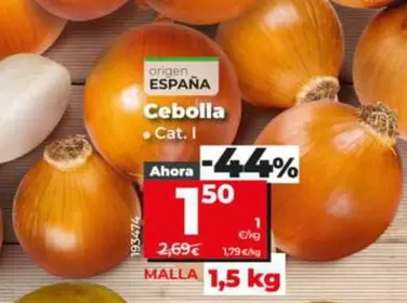 Cebolla