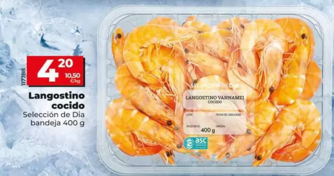 Seleccion De Dia - Langostino Cocido