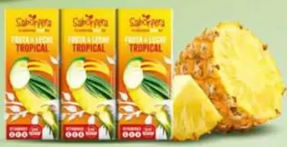 Dia Saborfera - Bebida De Frutas Con Leche Sabor Tropical