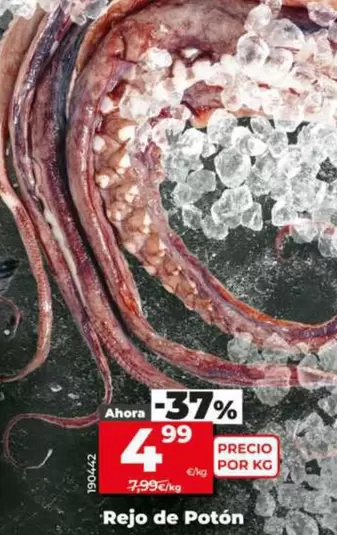 Rejo De Potón