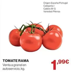 Rama - Tomate