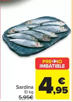 Sardina