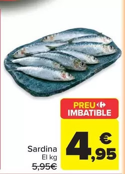 Sardina