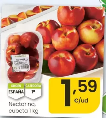 Nectarina Cubeta