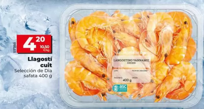 Seleccion De Dia - Langostino Cocido