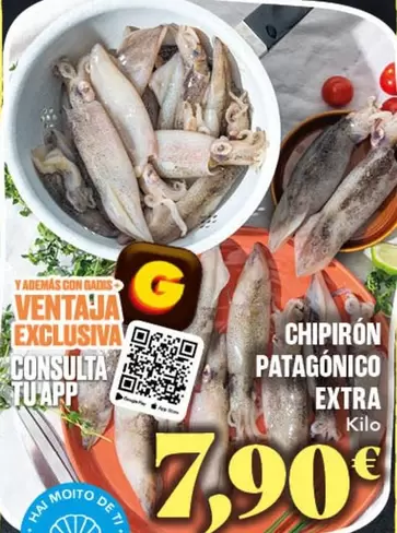 Chipiron Patagonico Extra