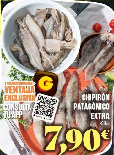 Chipiron Patagonico Extra