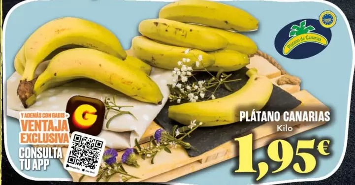 Platano Canarias