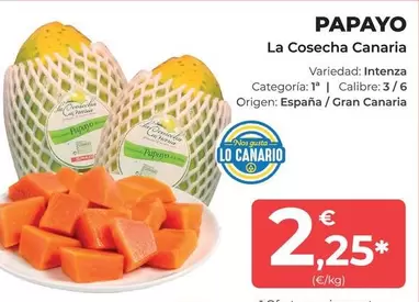 Spar - Papayo