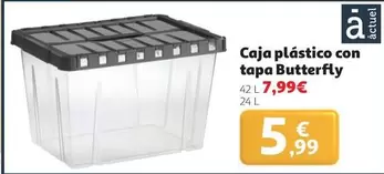 Butterfly - Caja Plastico Con Tapa
