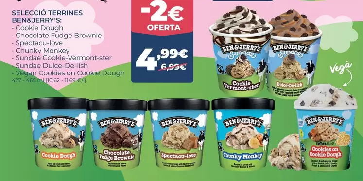 Ben & Jerry's - Seleccio Terrines
