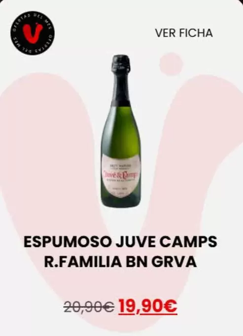 Juve Y Camps Reserva Familia - Espumoso Bn Grva