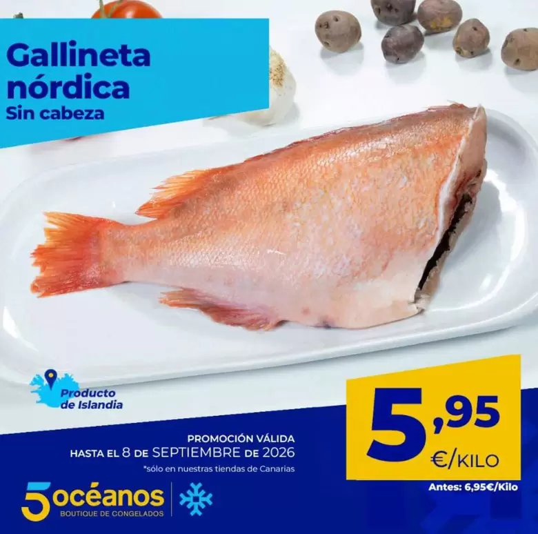 Gallineta Nórdica Sin Cabeza