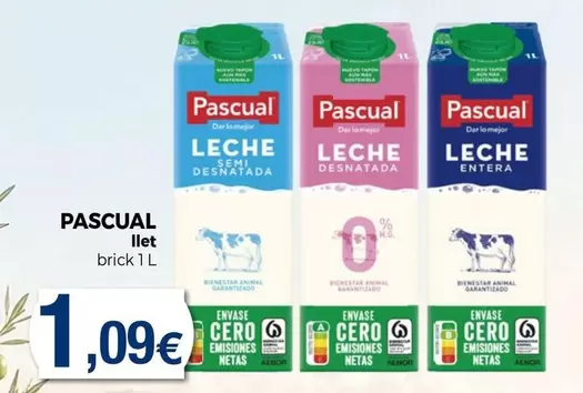 Pascual - Llet