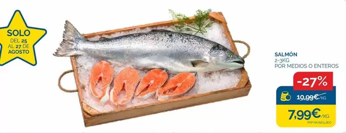 Solo - Salmon