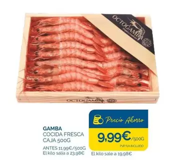 Octogamba - Gamba Cocida Fresca