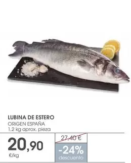 origen - Lubina De Estero