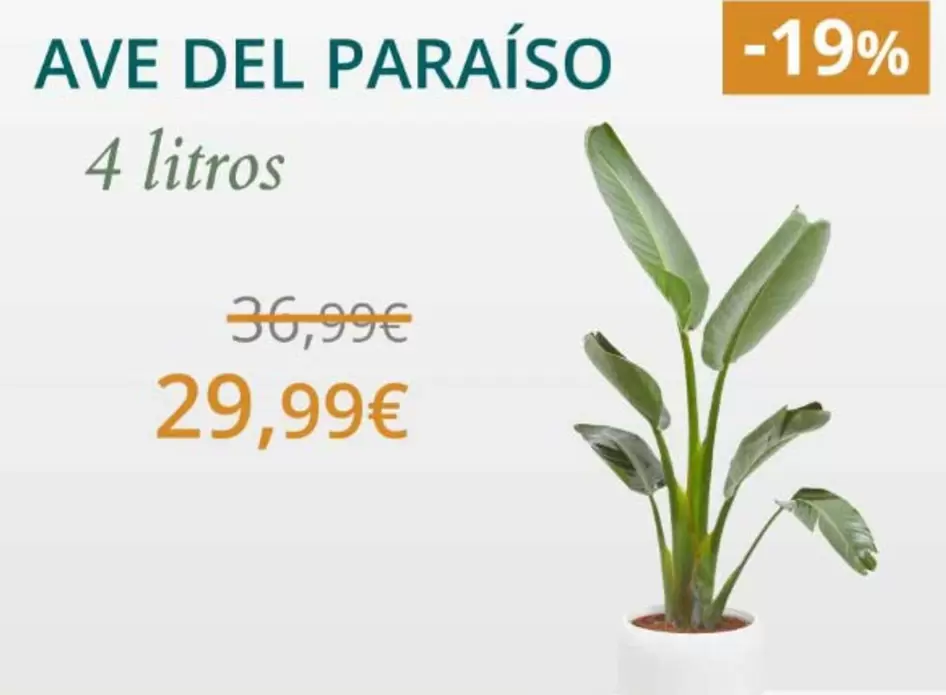 4 Litros