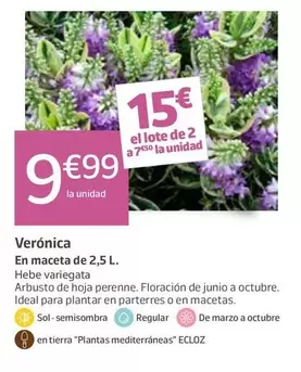 Verónica