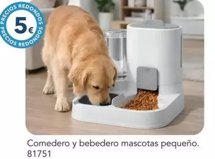 Comedero Y Bebedero Mascotas Pequeño