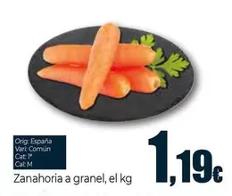 Zanahoria A Granel