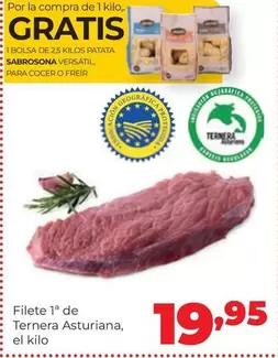 Filete 1 De Ternera Asturiana