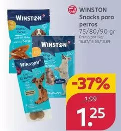 Winston - Snacks Para Perros