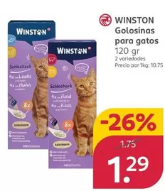 Winston - Golosinas Para Gatos