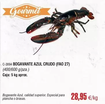 Gourmet - Bogavante Azul Crudo