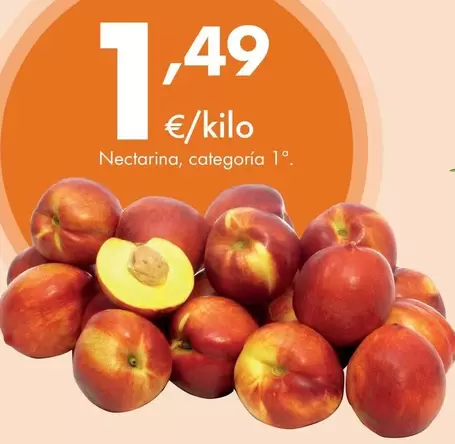 Nectarina, Categoría 1°
