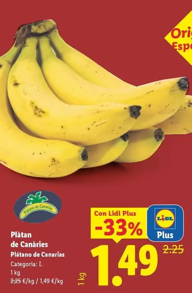 Plátano De Canarias