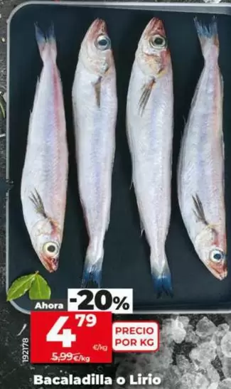 Bacaladilla O Lirio