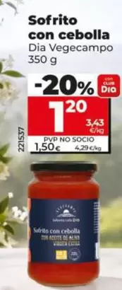 Dia Vegecampo - Sofrito Con Cebolla