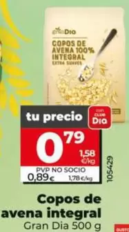Gran Dia - Copos De Avena Integral