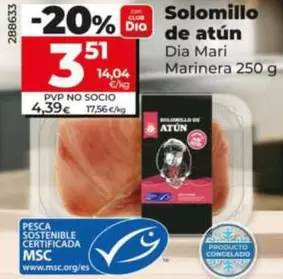 Dia Mari Marinera - Solomillo De Atún